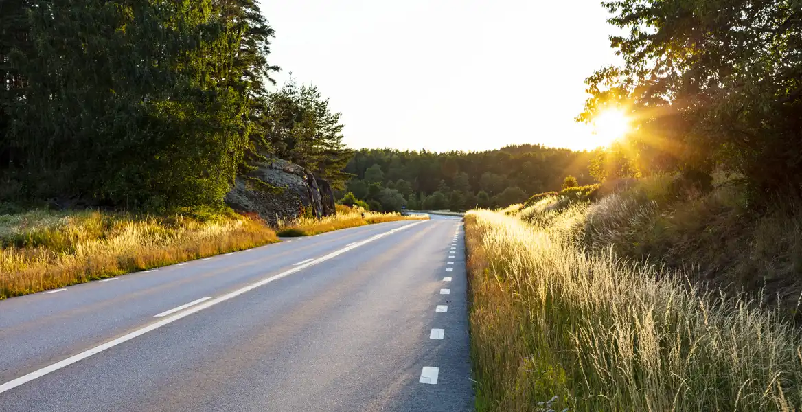 A country road in the evening sun runs through a summer landscape. The image is used as a symbol for gaining knowledge about what a debt collection notice is.